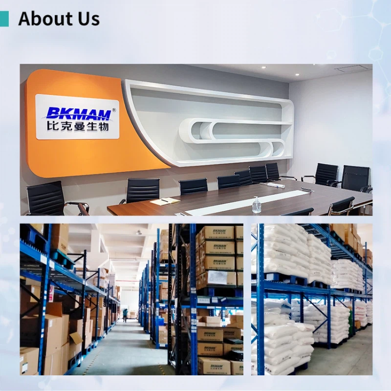 pasteur pipette warehouse