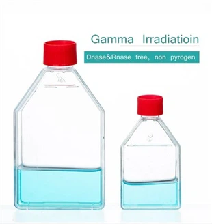 TC Treated Cell Culture Flask T75