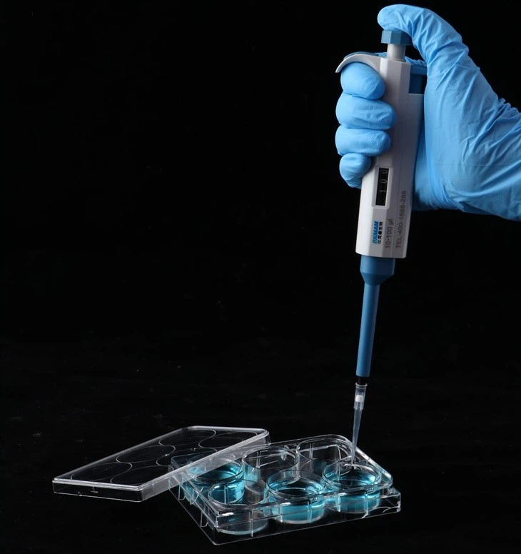 100% PP Independent Packaging Sterile Enzyme Cell Culture Plate Tissue Culture Plates