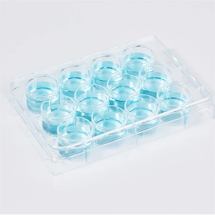 100% PP Independent Packaging Sterile Enzyme Cell Culture Plate Tissue Culture Plates
