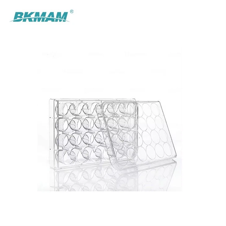 96Well Cell Culture Plate