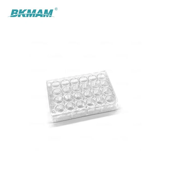 96Well Cell Culture Plate