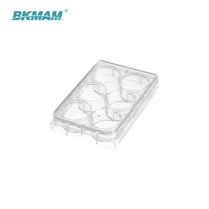 96Well Cell Culture Plate