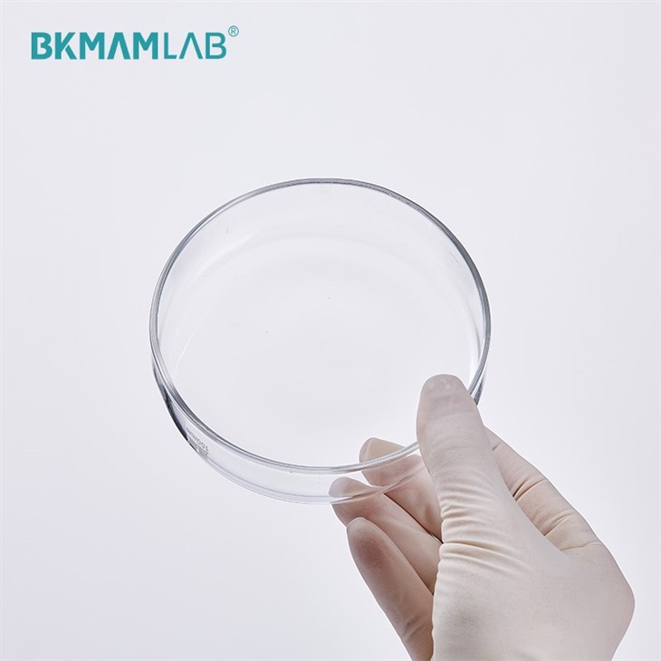 Borosilicate 3.3 Glass Petri Dish