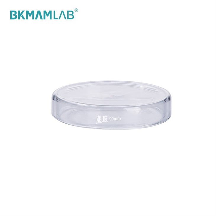 Borosilicate 3.3 Glass Petri Dish