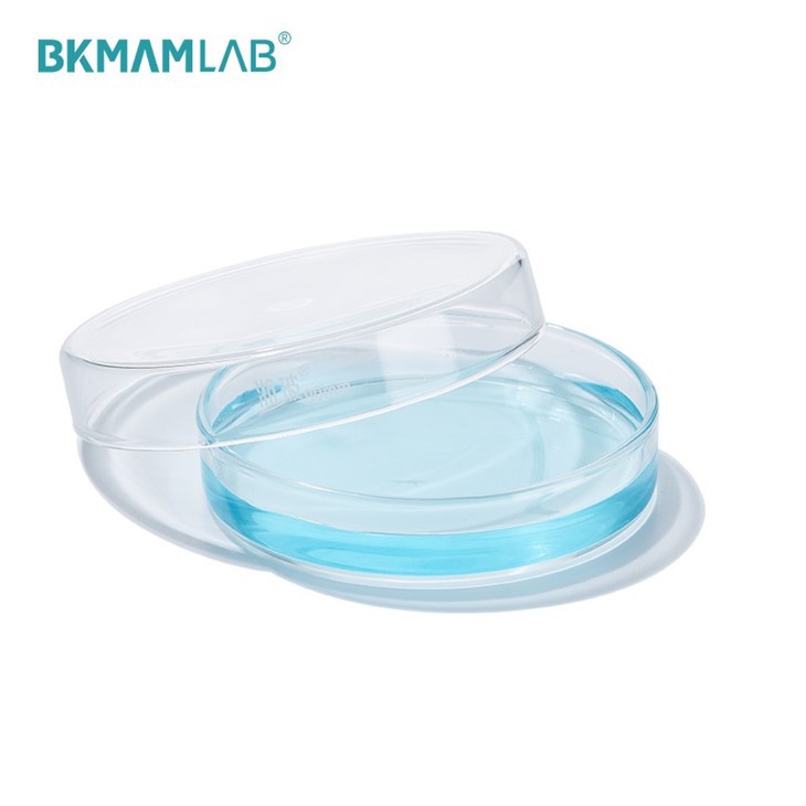 Borosilicate 3.3 Glass Petri Dish