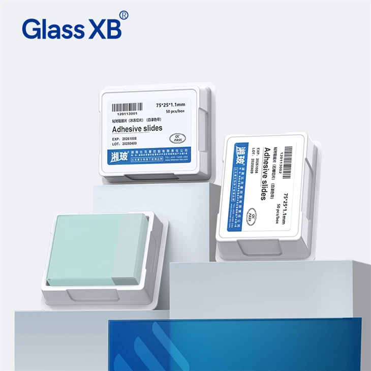 Glassware Slides Attach Glass Slides suppliers