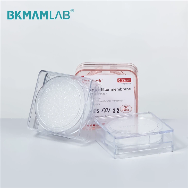 Hydrophilic Hydrophobic PTFE Membrane Filter factory