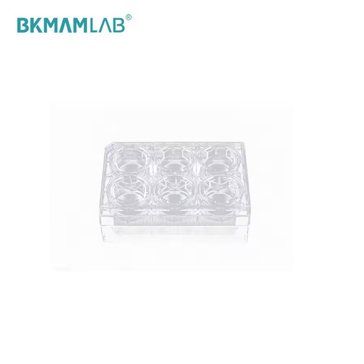 Cell Culture Inserts