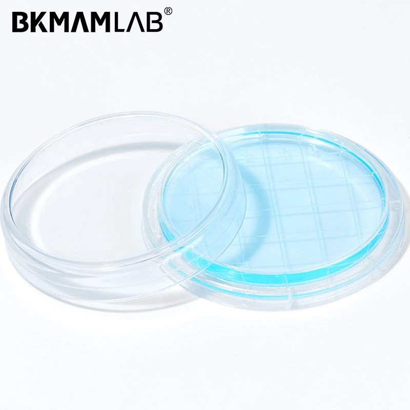 Contact plate 1 Contact plate 1