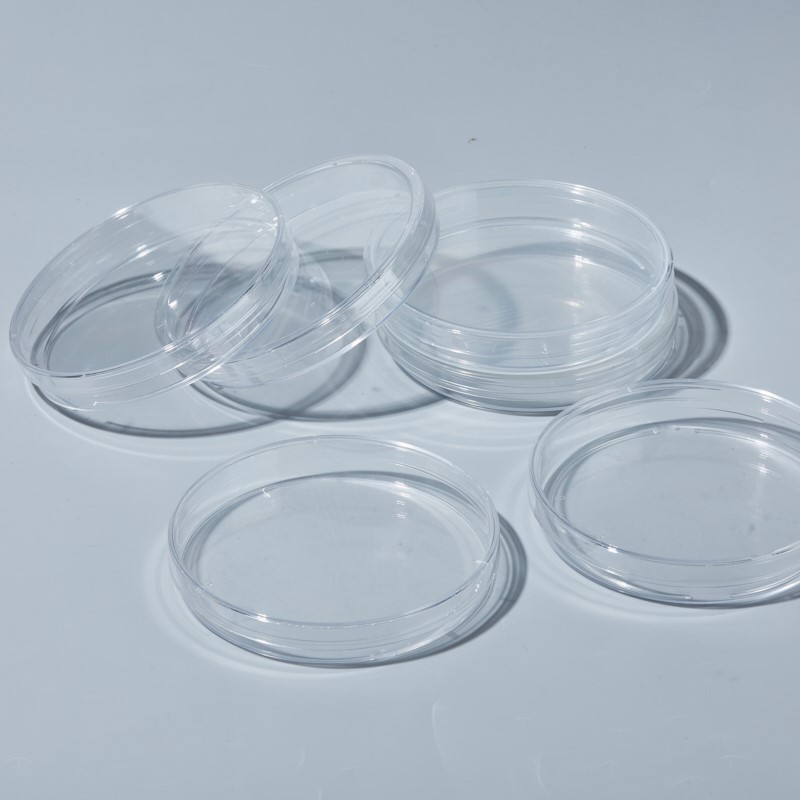 005172 22 2024 005172 22 2024