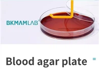 Tissue Culture Medium: Blood Agar Plates