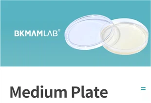 Culture Medium Lab Use Tryptone Soy AGAR (triple Pack)TSA AGAR Plate 9cm Nutrient Agar Medium Plate
