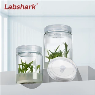 High Borosilicate Glass Tissue Culture Bottles Hydroponic Plant Culture Bottles Vase Empty Mushroom With Plastic PP Lid