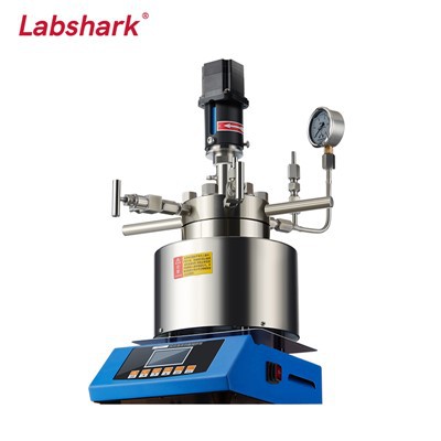 High-Pressure Reactor