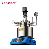 High-Pressure Reactor