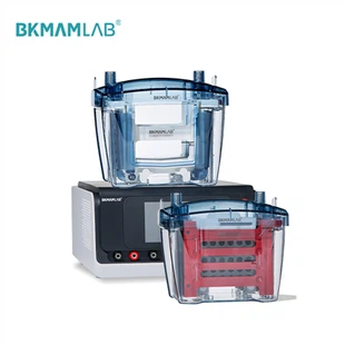 Horizontal Electrophoresis System