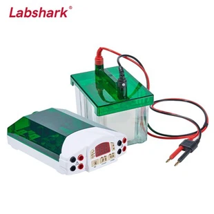 Horizontal & Vertical Electrophoresis System