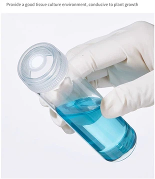 Lab Use 30mm Heat Resistant Clear Glass Tube With Tissue Culture Caps For Plant Packaging