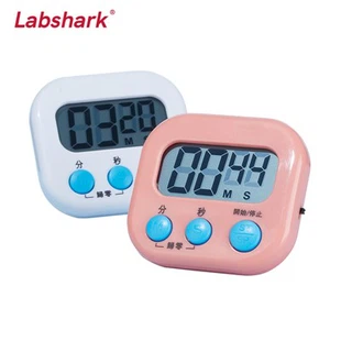 Laboratory Timer