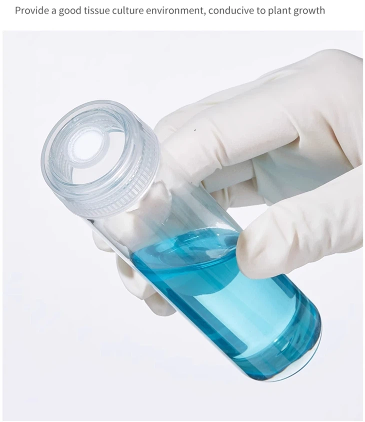 Wholesale Clear Breathable Culture Bottle Borosilicate Glass Test Tube Tissue Culture Bottle Vessel