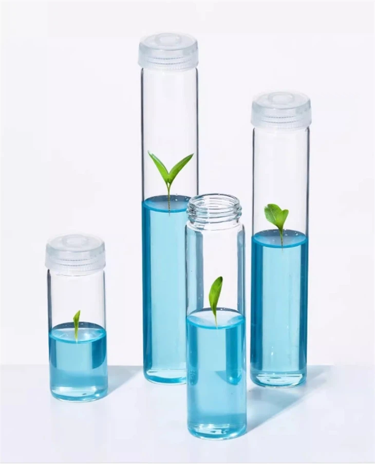 Wholesale Clear Breathable Culture Bottle Borosilicate Glass Test Tube Tissue Culture Bottle Vessel